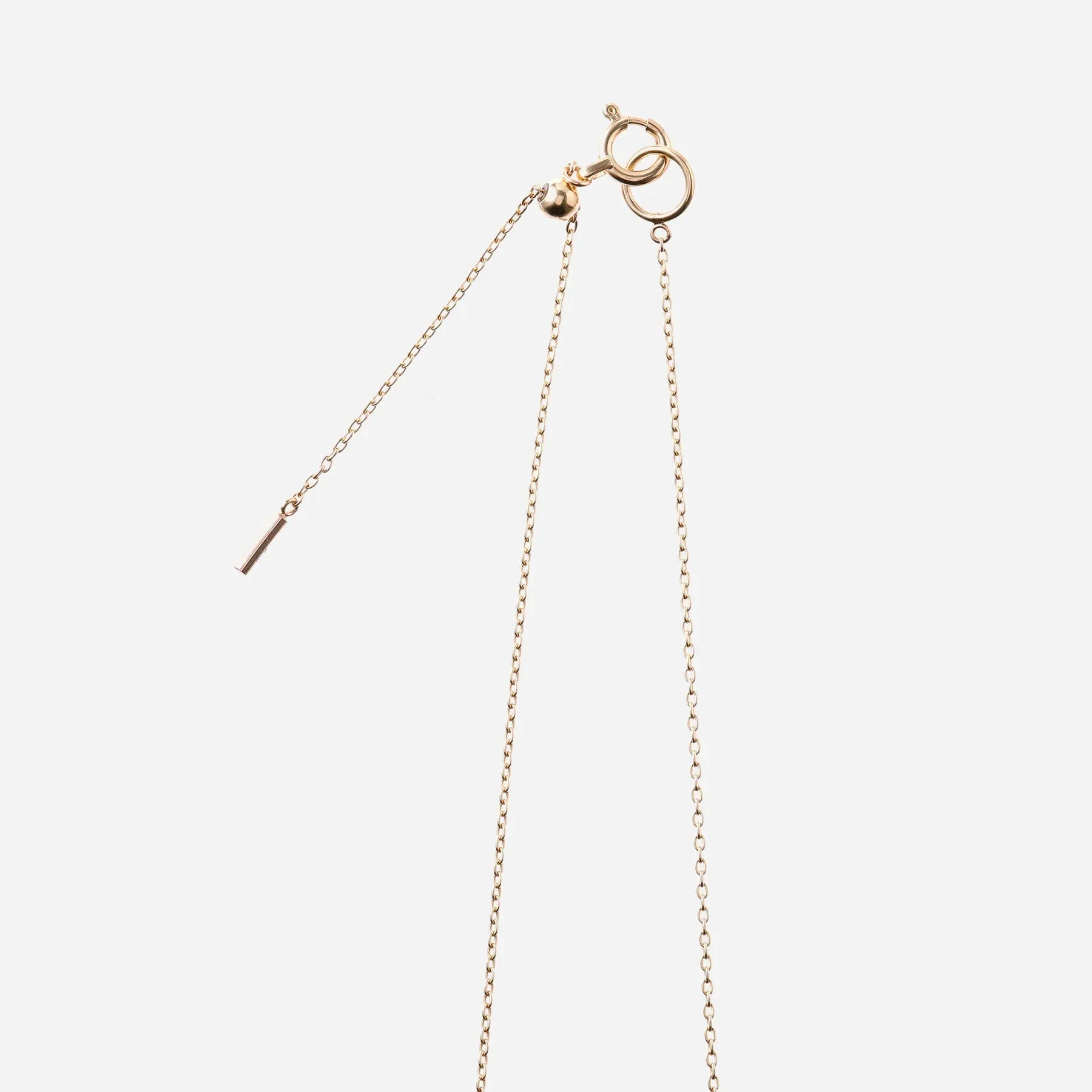 Dent Beside 10K Gold Necklace